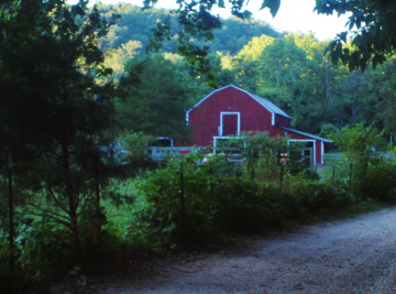 Barn