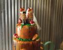 We will make sure that your cake looks exactly the way you want it to!  This cake was designed by Carrie and Jeremiah FOX, and was created by "Cravings by Rochelle," Eureka Springs most popular patisserie.